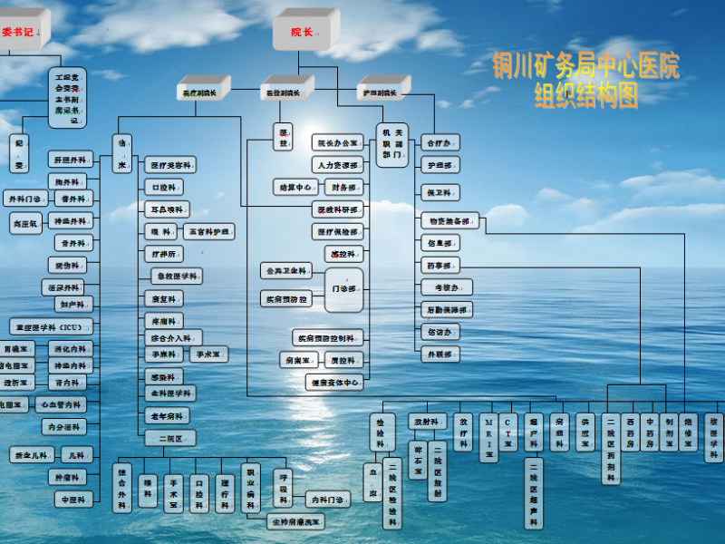 最新组织结构图